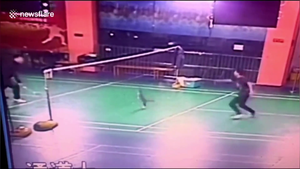 Clip: Mèo nhảy lên đánh cầu lông, cứu chủ khỏi bàn thua 