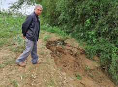 Sạt lở bờ sông Trà Khúc, ‘hà bá’ nuốt chửng đất sản xuất của dân