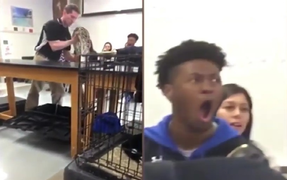 Clip: Vẻ mặt ngố 'chịu không nổi' của nam sinh trong giờ sinh vật 