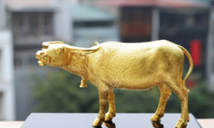 Quà Tết Tân Sửu 2021: 'Sốt' tượng trâu mạ vàng tiền triệu