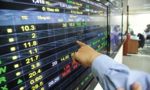 Chứng khoán đang thăng hoa, có nên xuống tiền mua cổ phiếu? 