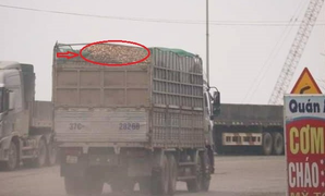 Giám đốc Công an Hà Tĩnh yêu cầu kiểm tra xe chở dăm gỗ náo loạn Cảng Lào-Việt