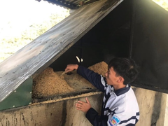 Thầy giáo vùng cao sáng chế hệ thống ủ nước nóng chống rét cho học sinh