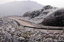 Đêm mai, Hà Nội rét 8 độ C, vùng núi cao có thể đón trận mưa tuyết đầu tiên