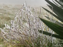 Video: Lạnh -1,4 độ C, đỉnh Mẫu Sơn xuất hiện băng giá