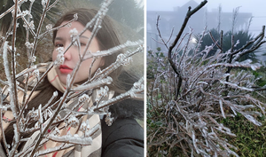 Ảnh: Băng giá phủ trắng đỉnh Mẫu Sơn