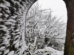 Rét đậm bao trùm miền Bắc, những nơi nào sắp xuất hiện mưa tuyết?