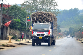 Quốc lộ ở Thanh Hoá ‘oằn mình’ gánh xe tải cơi nới thành thùng chạy ngày đêm