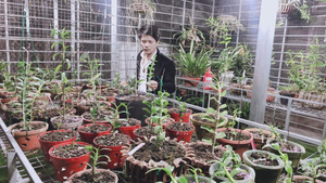 Chàng trai 8X Nam Nguyễn 'dành cả thanh xuân' để yêu hoa lan