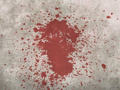 Bị vợ bạo hành, người đàn ông giả chết