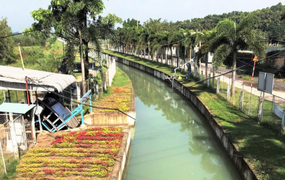 Thanh tra điểm mặt loạt sai phạm ở Công ty Quản lý khai thác thuỷ lợi TP.HCM