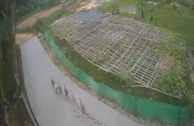 Clip: Đàn vịt để lại nghìn dấu chân trên đường bê tông mới đổ
