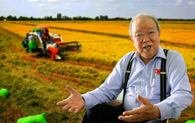 Những đề xuất trước Đại hội Đảng XIII