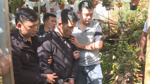 Bắt kẻ trộm đào hầm chứa ma túy, giấu súng quanh nhà