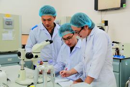 Các trường ồ ạt tuyển sinh ngành sức khoẻ: Chất lượng đào tạo có đảm bảo?