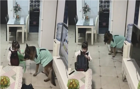 Dân mạng phục lăn chú chó mưu cao, ép bé gái học bài