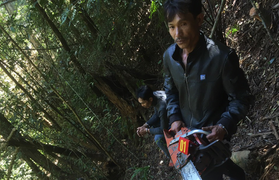 Bắt giam 3 nghi can phá rừng ở Lâm Đồng