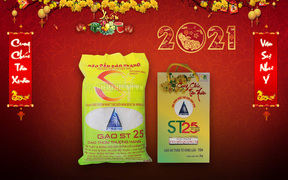 Các loại gạo đặc sản thành quà Tết độc lạ