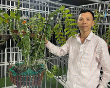 Hành trình đi đến thành công của ông chủ vườn lan Nguyễn Văn Hiệp