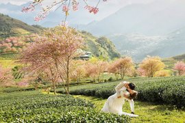 Ảnh cưới tuyệt đẹp của con gái diva Thanh Lam