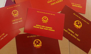 33 bằng cấp giả bị phát hiện tại cơ quan Nhà nước ở Đắk Lắk
