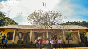 Thưởng Tết giáo viên cắm bản xứ Thanh: Khi chai nước mắm, lúc măng rừng