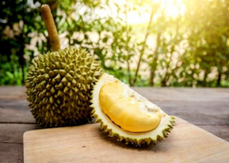 Đố mẹo: Quả gì không ai muốn ăn?