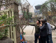 Không vì một con tem mà gây ách tắc cho việc bán đào của dân bản