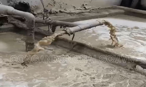 Bắt quả tang công ty giấy xả nước thải, khí thải trái phép