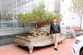 Chàng trai trẻ Công Hậu sở hữu vườn mộc hương, lan đột biến quý hiếm