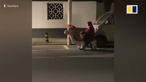 Video: Lái xe đồ chơi từ cửa hàng về nhà, cụ bà 76 tuổi bị CSGT xử phạt