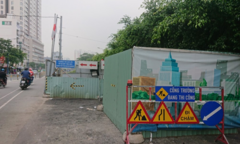 TP.HCM cấm đào đường dịp Tết Nguyên đán