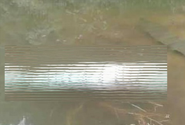 Thi thể phụ nữ bị nhét vào bao tải nổi ở mặt hồ 