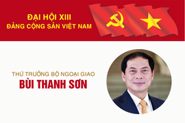 Infographic: Sự nghiệp Thứ trưởng Thường trực Bộ Ngoại giao Bùi Thanh Sơn