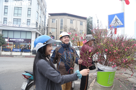 Đào Nhật Tân rực rỡ xuống phố, khách háo hức mua