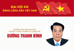 Infographic: Sự nghiệp Trưởng ban Dân nguyện Dương Thanh Bình