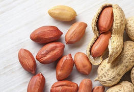 Phát hiện hạt lạc trong phế quản bé 18 tháng tuổi sau cơn thở rít bất thường