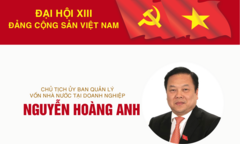Infographic: Sự nghiệp Chủ tịch Ủy ban Quản lý vốn Nhà nước Nguyễn Hoàng Anh