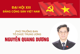 Infographic: Sự nghiệp Phó Trưởng Ban Tổ chức Trung ương Nguyễn Quang Dương