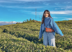 Ảnh: Ngỡ ngàng trước vẻ đẹp xanh mát của đồi chè 'vạn người mê' ở Đà Lạt 