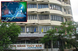 Xuất hiện cổ phiếu ‘lạ’: Phá trần 8 phiên, tăng hơn 200% nhưng giao dịch èo uột