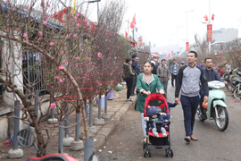 Thời tiết Tết Nguyên đán 2021 sẽ thế nào?