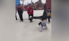 Clip: Được nghỉ học, cậu bé sướng quá lộn nhào như Tôn Ngộ Không
