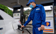 Thủ tướng chỉ đạo công tác điều hành giá xăng, thịt lợn năm 2021