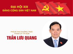 Infographic: Sự nghiệp Phó Bí thư Thường trực Thành ủy TP.HCM Trần Lưu Quang