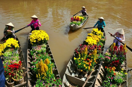 Đâu rồi Tết miệt vườn xưa, cả đêm giã bánh phồng, chia thịt heo trả lúa?