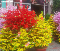 Ảnh: Phố hoa giả Sài Gòn rực rỡ ngày giáp Tết 