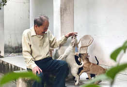 Ảnh: Cuộc sống bình dị của Đại tá tình báo Tư Cang ở tuổi 93