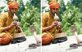 Đố bạn chỉ ra 3 điểm khác biệt trong bức hình