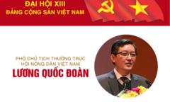 Infographic: Sự nghiệp Phó Chủ tịch Hội Nông dân Việt Nam Lương Quốc Đoàn